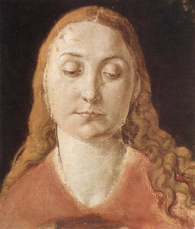 Albrecht Durer Portrait of a woman with Loose Hair oil painting image